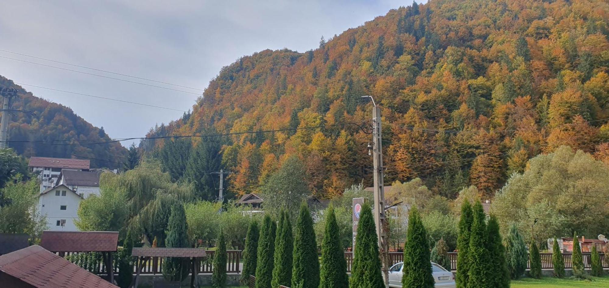 Pensiunea Cezar-Codrin Cheia  Buitenkant foto